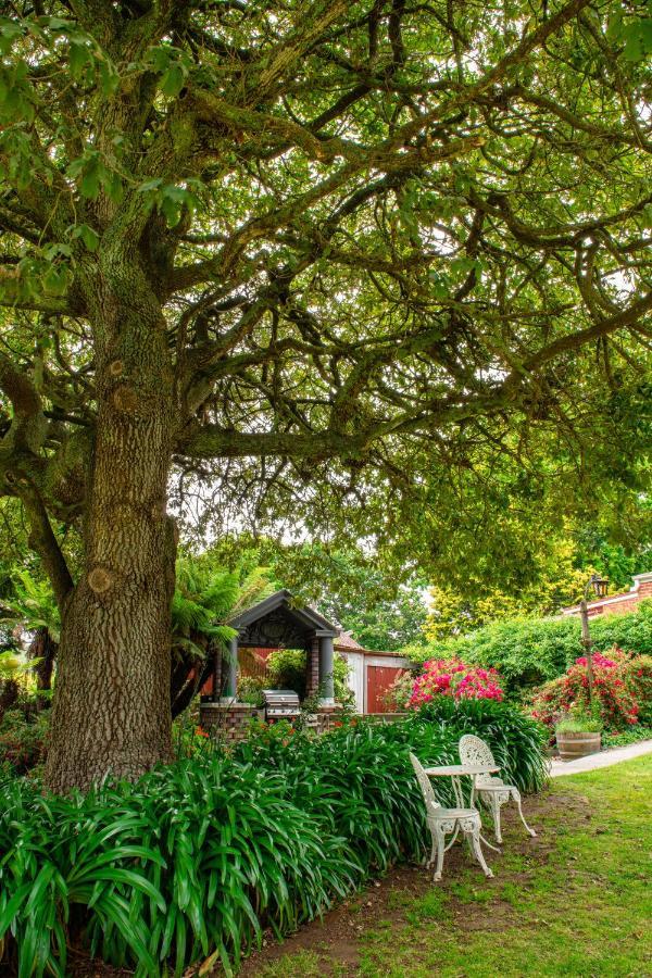 Alexandria Bed And Breakfast Винярд Экстерьер фото